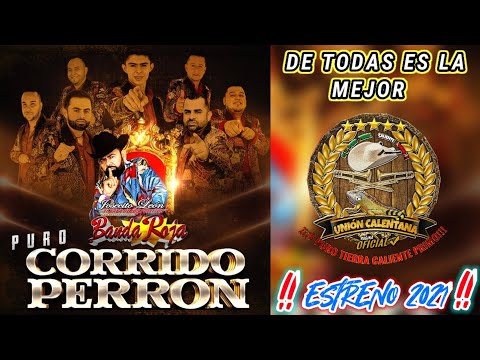 De Todas Es La Mejor / Josecito León y Su Internacional Banda Roja / Estreno 2021