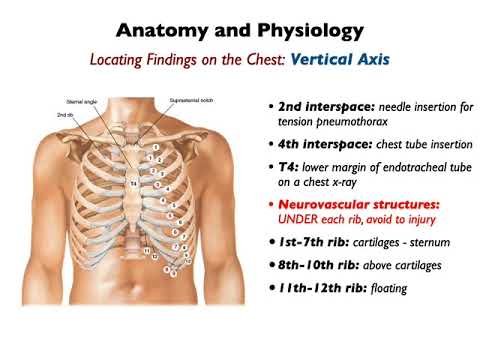 20211006 respiratory system part1