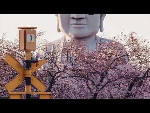 Fried noodles chorus piano