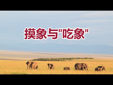 【摸象与"吃象"-祝健牧师分享】华牧网络教会(联盟)主日信息/ Sunday Message (Alliance of CPF) Pastor Zhu (11/03)