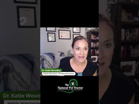 Is Leaky Gut Why Your Pets Sick with Dr. Katie Woodley - Holistic Veterinarian