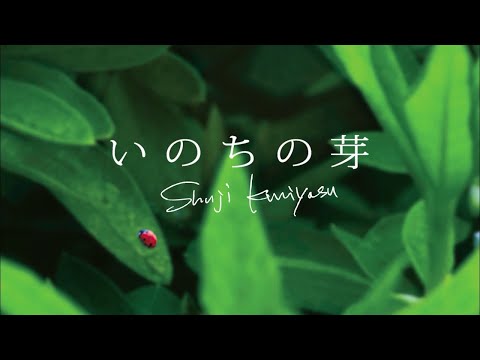 いのちの芽：国安修二