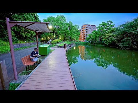 Tokyo Summer Evening Walk in Ota-ku, Japan • 4K HDR