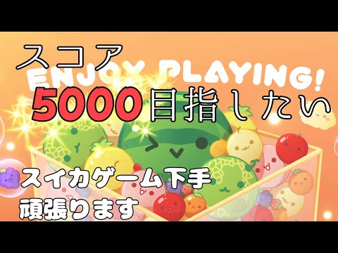 目指せ５０００！【スイカゲーム】【Vtuber準備中】