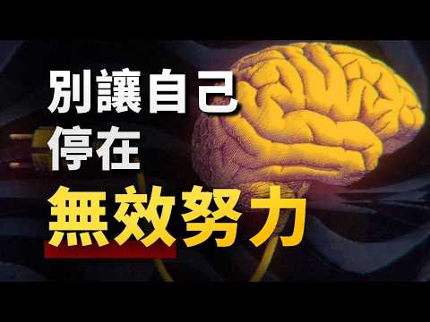 知道卻做不到，是因為自己笨嗎？硬核腦科學分析，揭秘自我成長的底層密碼！