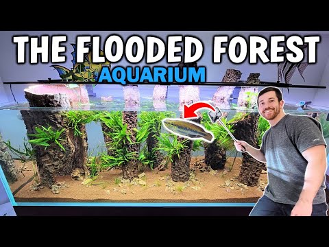 6 Ft. FLOODED FOREST Planted Aquarium Setup - 1 Fish For 167 Gallons!