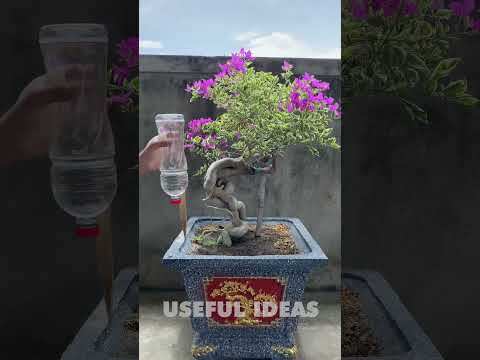 Watering ideas with plastic bottles #shorts #wateringideas #wateringplants