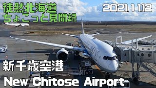 2021 11 12　新千歳空港　めっちゃ楽しいアミューズメント