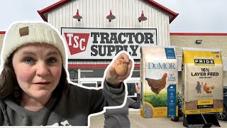 What Is Going On With Tractor Supply Chicken Feed? Did Your Chickens Stop Laying?