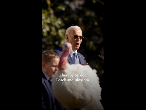 President Biden pardons Peach and Blossom, turkeys from Minnesota, before Thanksgiving 2024