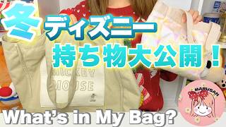 冬ディズニーの持ち物紹介！パーク必需品＆寒さ対策は？あると便利なアイテムを全て紹介するよ！