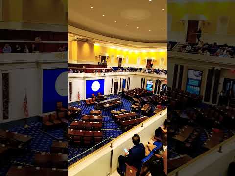 Senate floor #senate #congress #shorts #replica #boston