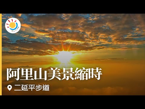 阿里山即時影像-二延平步道-縮時 | Eryanping Trail Sunset Timelapse in Alishan, Taiwan 2021-12-12