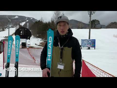 HEAD WORLDCUP REBELS E-SL RD FIS 商品説明