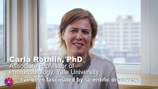 2019 Lupus Awareness Month - Breaking through in lupus research featuring Dr. Carla Rothlin