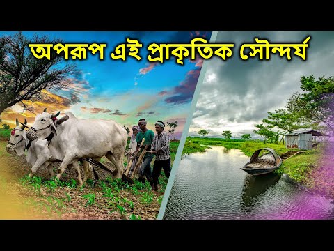 অপরূপ এই প্রাকৃতিক সৌন্দর্য | মন ছুয়ে দিবে এই প্রাকৃতিক সৌন্দর্য | This natural beauty is amazing