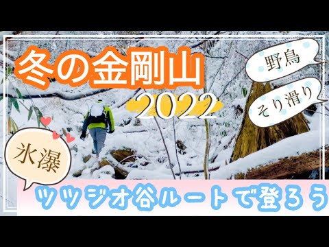 冬の金剛山☃️❄️今年初めての登山は氷瀑を見にツツジオ谷ルートで沢沿いを登る✨⤴︎⤴︎