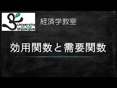 効用関数と需要関数（消費者の理論）No.15