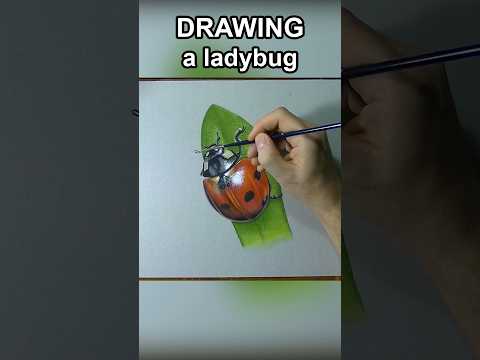 Lady Bug #painting #marcellobarenghi