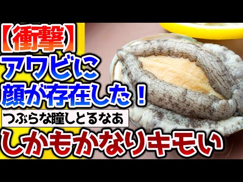 【2ch動物スレ】【閲覧注意】アワビさんには顔が存在した！？しかもかなりきもいと話題に。→淡水貝の驚くべき能力も紹介 【なんj】#生き物 #2ch