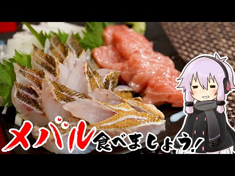 【再投稿版】結月ゆかりのお腹が空いたのでVol.30「メバル食べましょう」