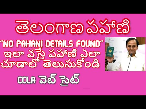 తెలంగాణ ఆన్ లైన్ పహణీ మ్యాప్ ద్వారా! Telangana Pahani Details Not Found!Check Telangana Land Records