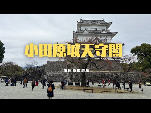 Beautiful scenery of Odawara Castle and a historical romantic promenade!