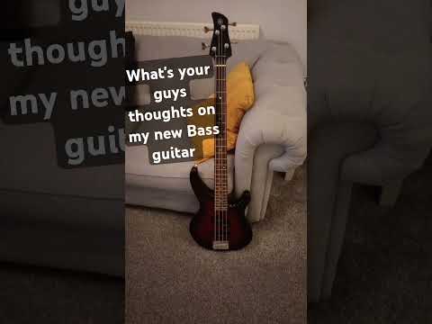 What's your thoughts on my new Bass