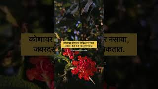 #family #quotesinmarathi #suvichar #sunset #flowers #viralshorts #writers #marathishorts