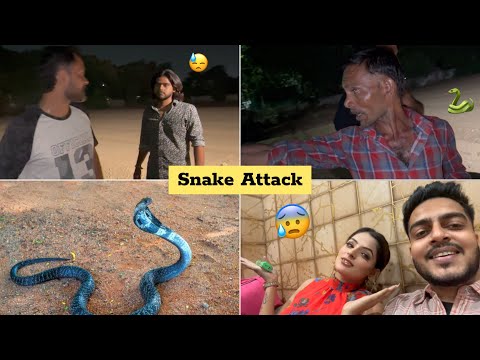 Shoot pe Saanp 🐍 Aagya 😰 Dangerous Cobra Snake 😱