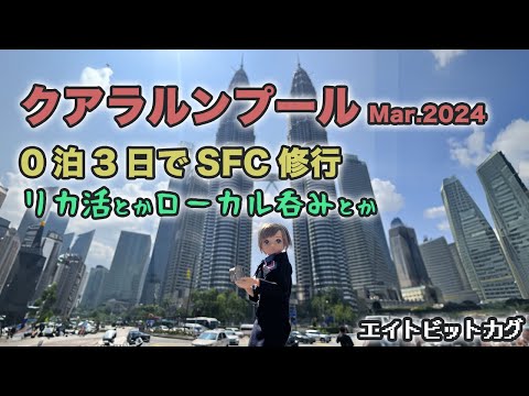 入国審査から電車の乗り方とか一人で街歩き、夜市でローカル飯とか