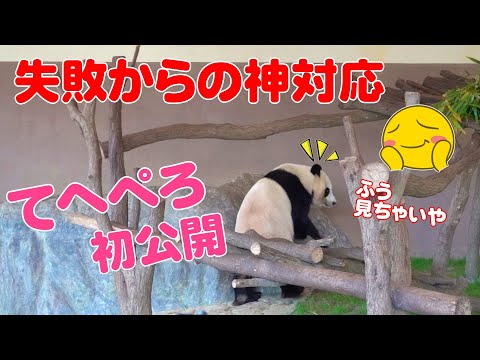 🐼楓浜のドジっ子炸裂！ミスの後の神対応に大歓声✨🎉