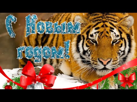 С Наступающим Новым Годом 2022 🐯 С наступающим Годом Тигра ! Новогоднее поздравление !