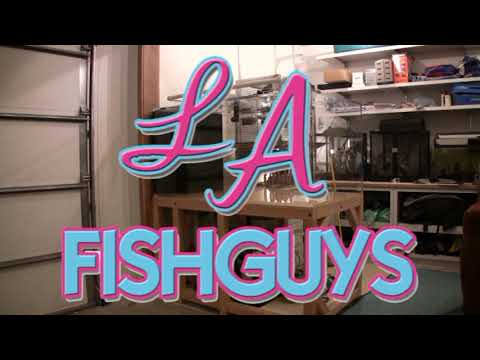 Wyoming Reef Tank, LA Fishguys, Episode 79, Part 5