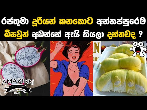 දූරියන් කන්න කලින් මේව දැනගන්න Durian & Health By Abirahas Gaweshanaya