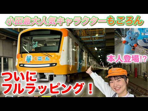 6/4デビュー【小田急】もころんラッピング電車を全公開！！まさかのご本人登場⁉︎ #鉄道 #小田急電鉄 #ラッピング電車