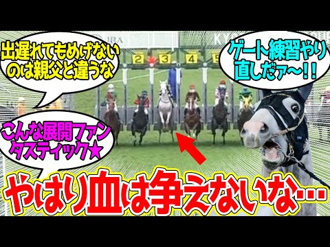 ゴージャスちゃん ← 普通に勝つより盛り上がった気はするに対するみんなの反応！【競馬 の反応集】