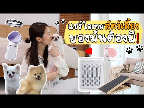 แชร์ไอเทมของมันต้องมี!! สำหรับคนเลี้ยงสัตว์🐶 น้องชอบเราแฮปปี้ | Holidear