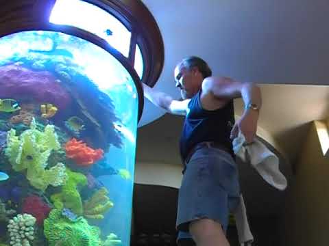 Butterflies in the Cylinder Tank, LA Fishguys, Episode 33, Part 3