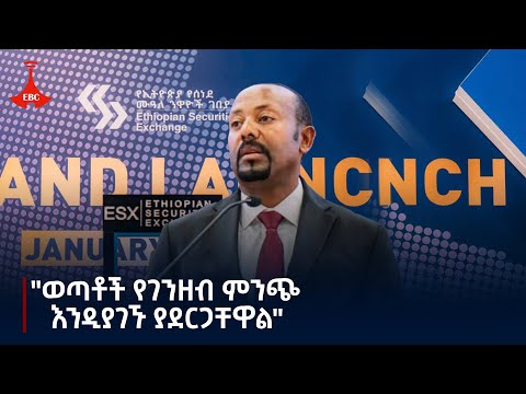 "የካፒታል ገበያ በገንዘብ እጥረት ምክንያት ሃሳብ እያላቸውና ስራ መስራት ለሚቸገሩ ወጣቶች በከፍተኛ ደረጃ የገንዘብ ምንጭ እንዲያገኙ ያደርጋቸዋል"