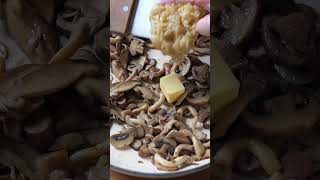 Creamy mushroom pasta