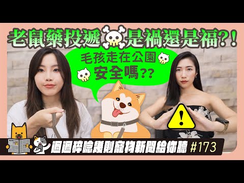 EP. 173 老鼠藥投遞 是禍還是福？！毛孩走在公園安全嗎？｜毛爸媽碎碎唸