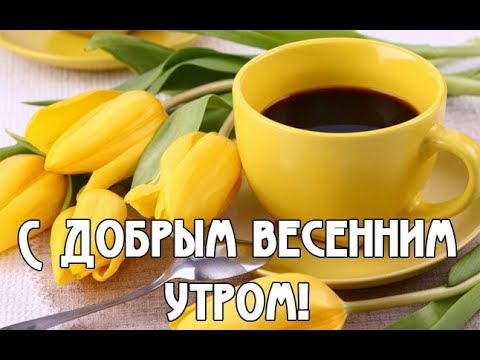 С Добрым Весенним Утром! Красивая Видео Открытка С Добрым Весенним Утром! #доброеутро