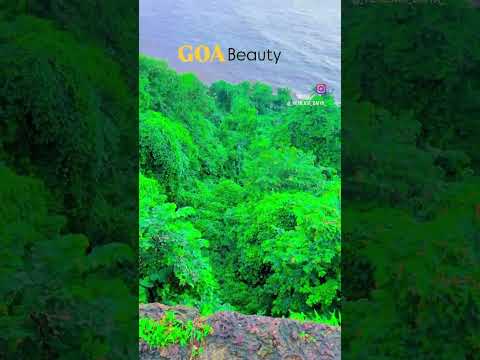 Goa trip #nature #goabeach #youtubeshorts #youtube