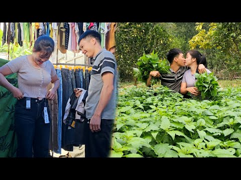 From Garden to Profit in 30 Days Harvest to Sell, Stock Up on New Clothes for Winter | Linh's Life