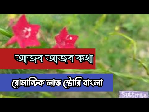 আজব আজব কথা || রোমান্টিক লাভ স্টোরি বাংলা ||Anika Dairy