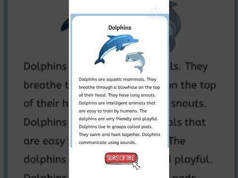 English Reading Practice || reading English practice || Dolphins