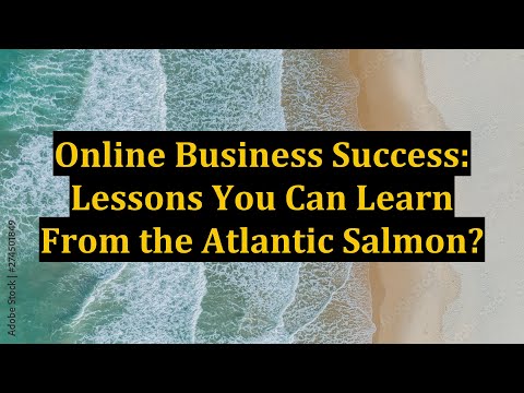 Online Business Success: Lessons You Can Learn From the Atlantic Salmon?