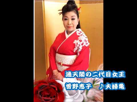 夫婦亀　曽野恵子