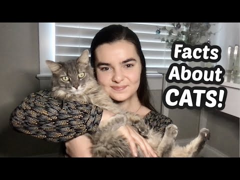 ASMR Whispering The Best Facts About Cats | Featuring Fletcher!